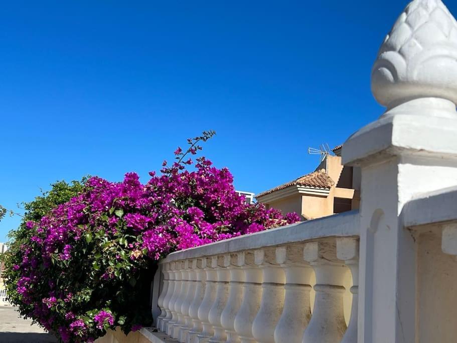 Apartmán Club Salino 18 Torrevieja Exteriér fotografie